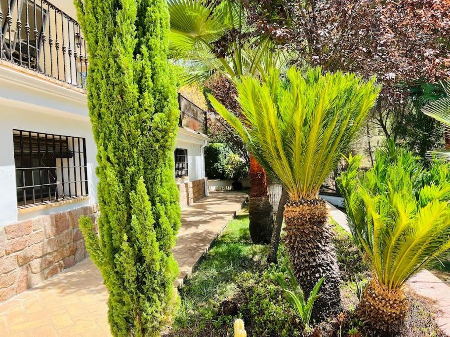 Villa Aljaral, Espectacular,Piscina,Chimenea, Climatizacion, Wifi Córdoba Eksteriør billede