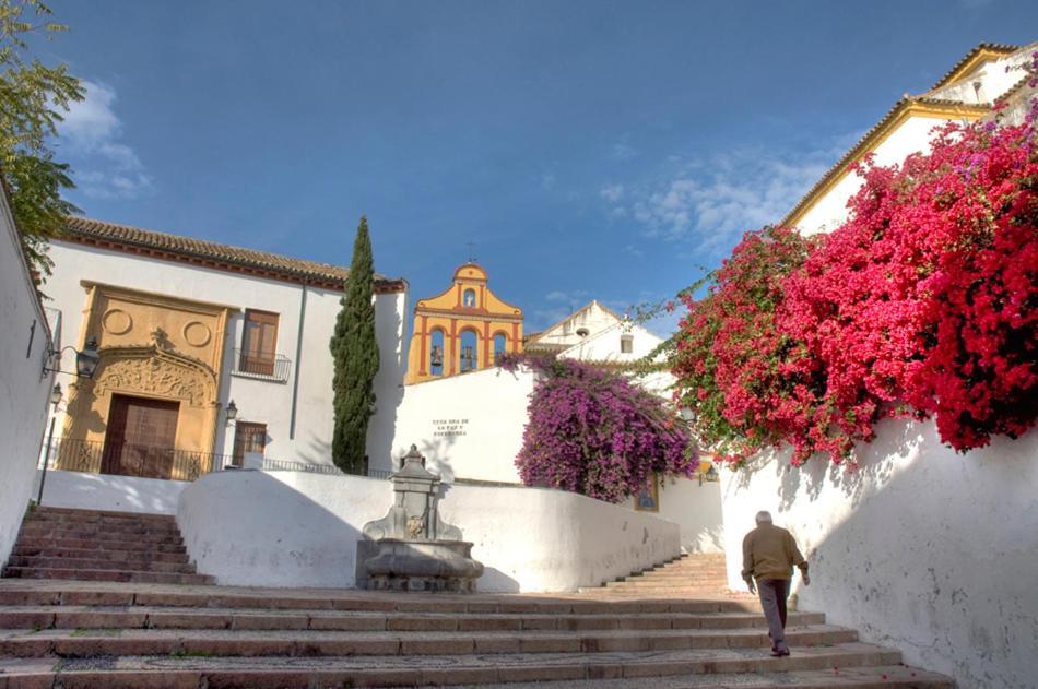 Villa Aljaral, Espectacular,Piscina,Chimenea, Climatizacion, Wifi Córdoba Eksteriør billede